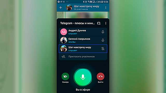 Скриншот чата Telegram